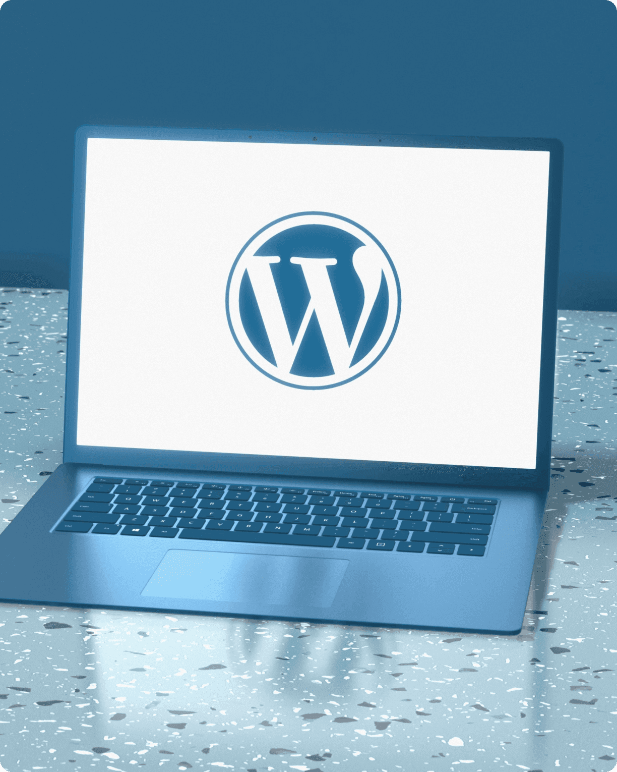 WordPress web development