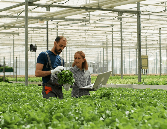 “Cultivating a Culture of Innovation in Sustainable Agriculture”