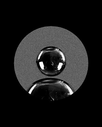 Notionhive